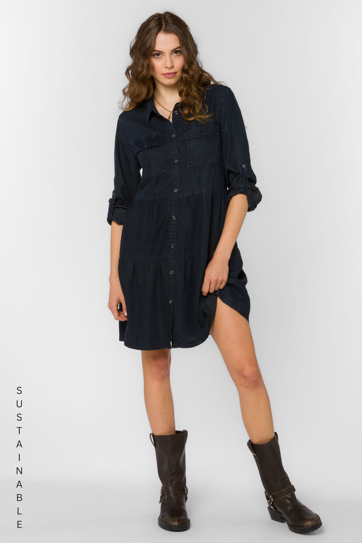 Bree Overdye Indigo Dress