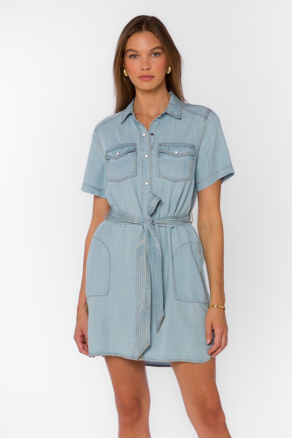 Aprille Glendora Dress - Dresses - Velvet Heart Clothing