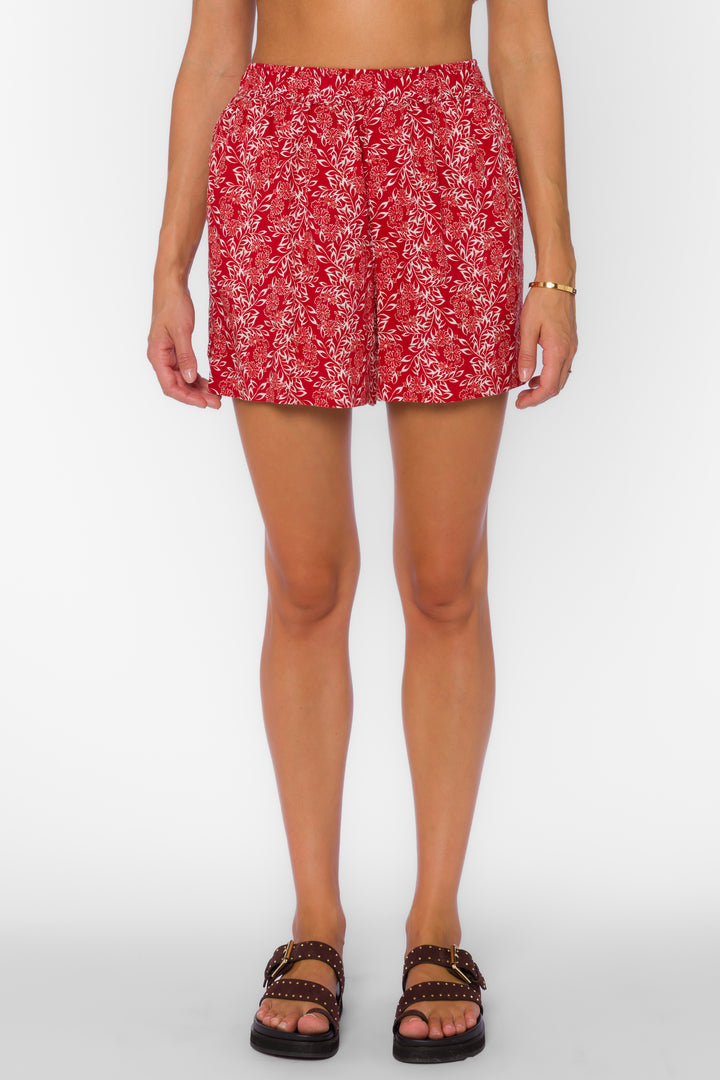 Bixby Red Floral Shorts - Shorts - Velvet Heart Clothing
