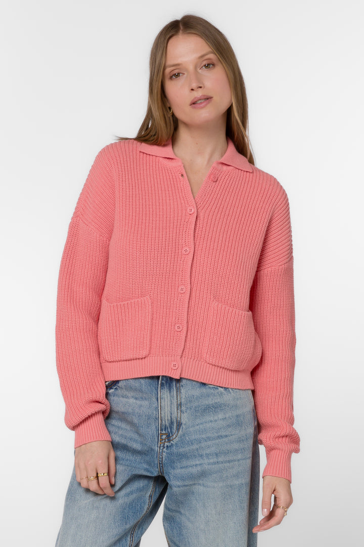 Brantley Strawberry Ice Sweater - Sweaters - Velvet Heart Clothing