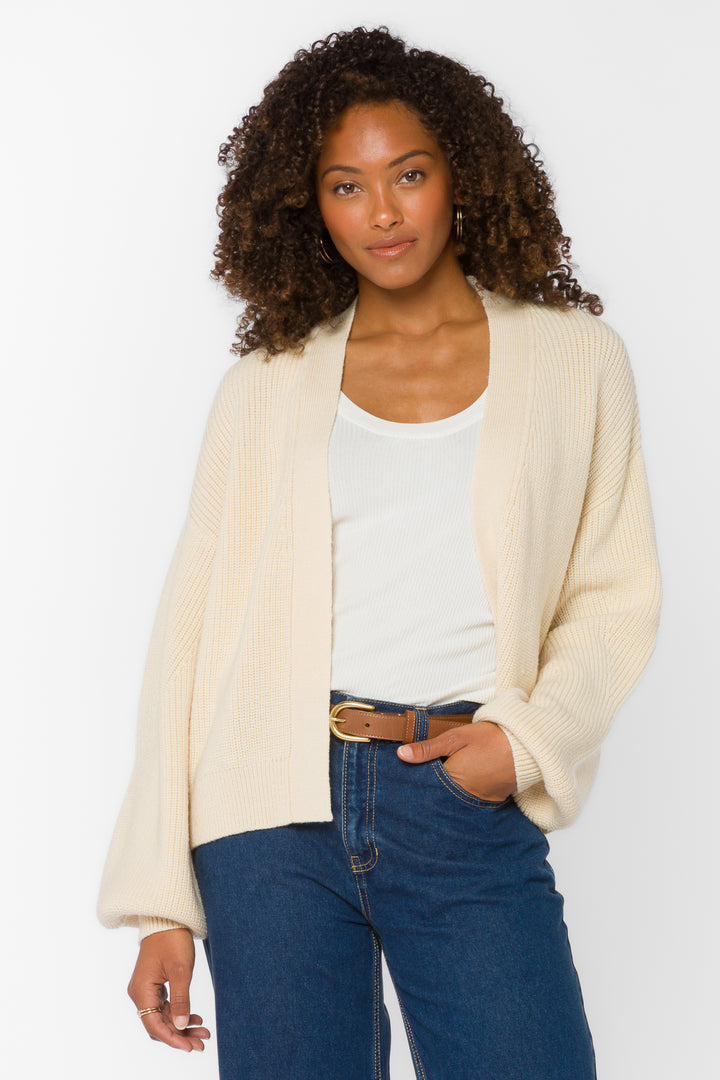 Brayden Fiberglass Cardigan - Sweaters - Velvet Heart Clothing