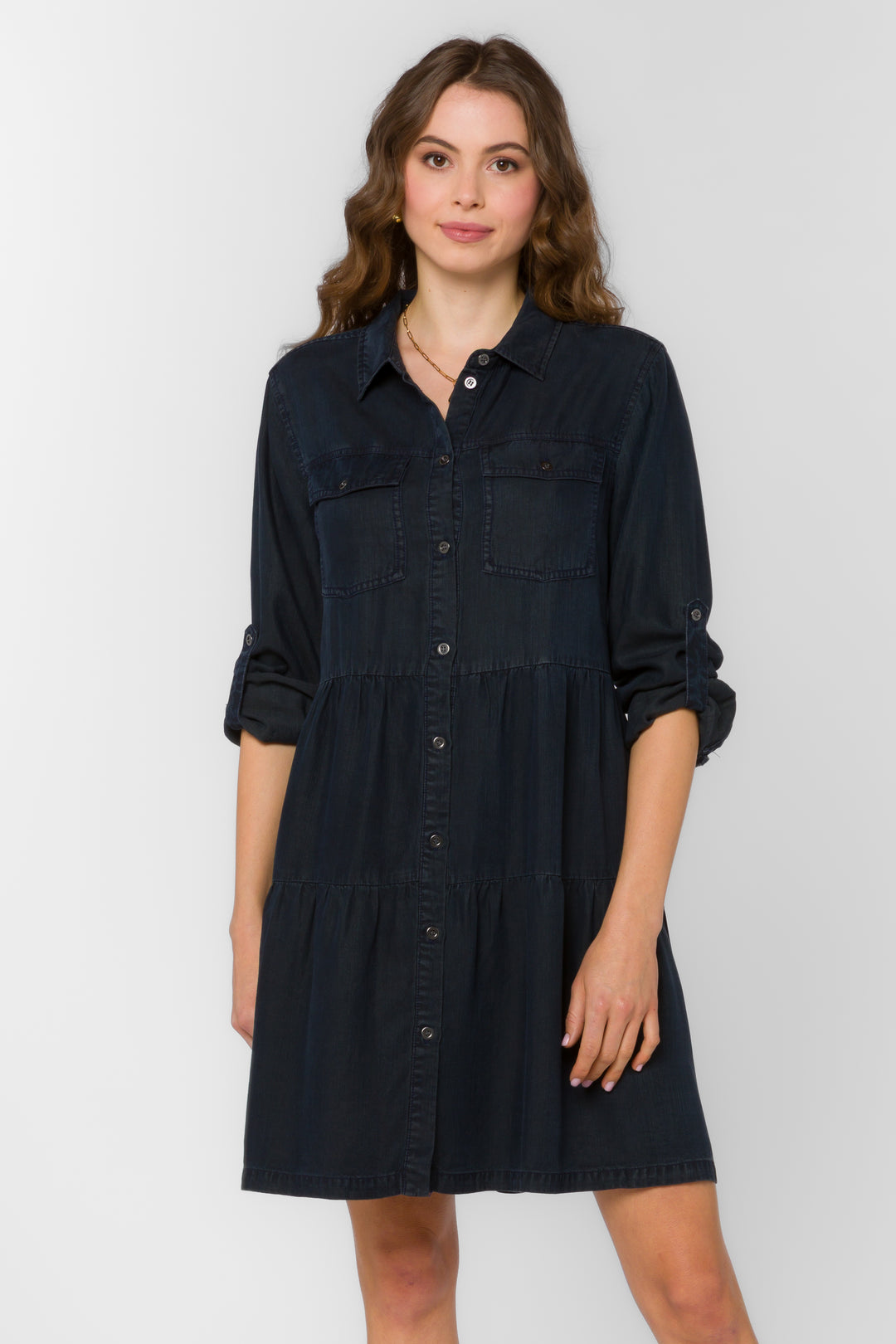Bree Overdye Indigo Dress