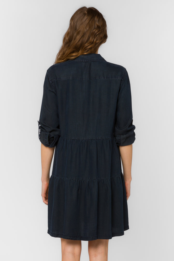 Bree Overdye Indigo Dress
