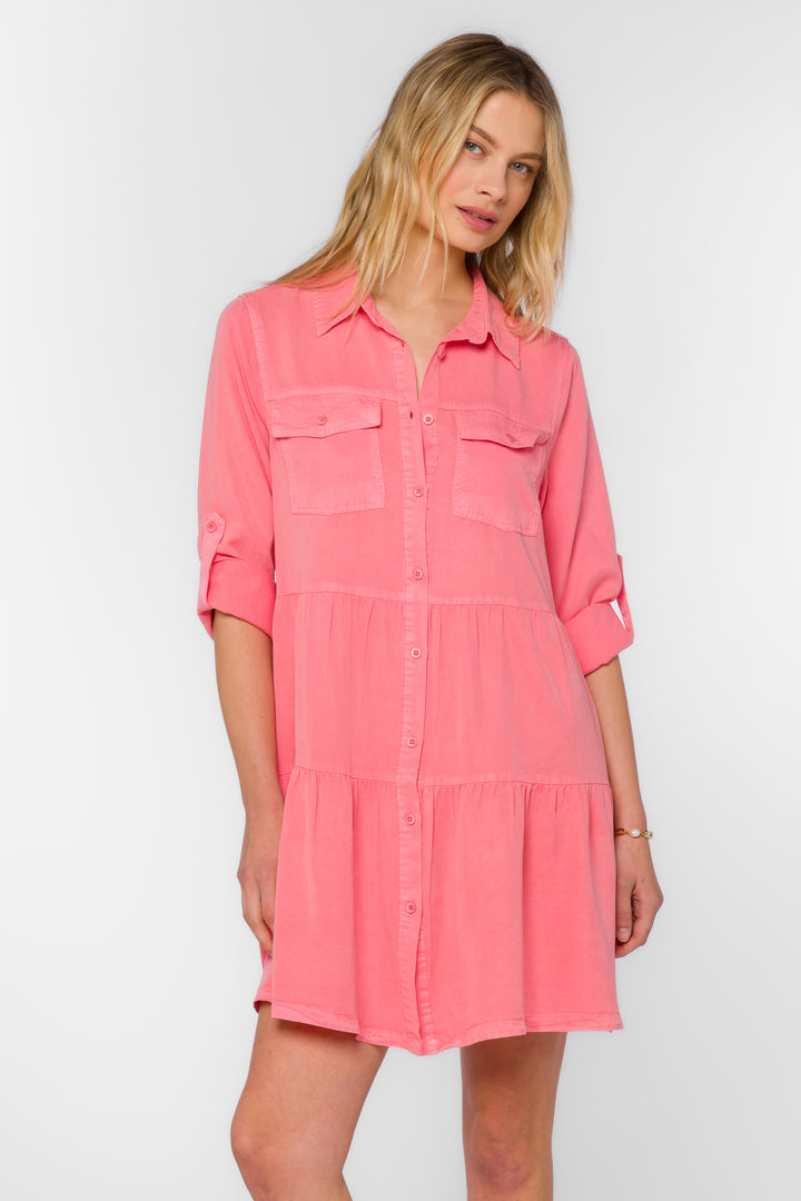 Bree Strawberry Ice Dress - Dresses - Velvet Heart Clothing