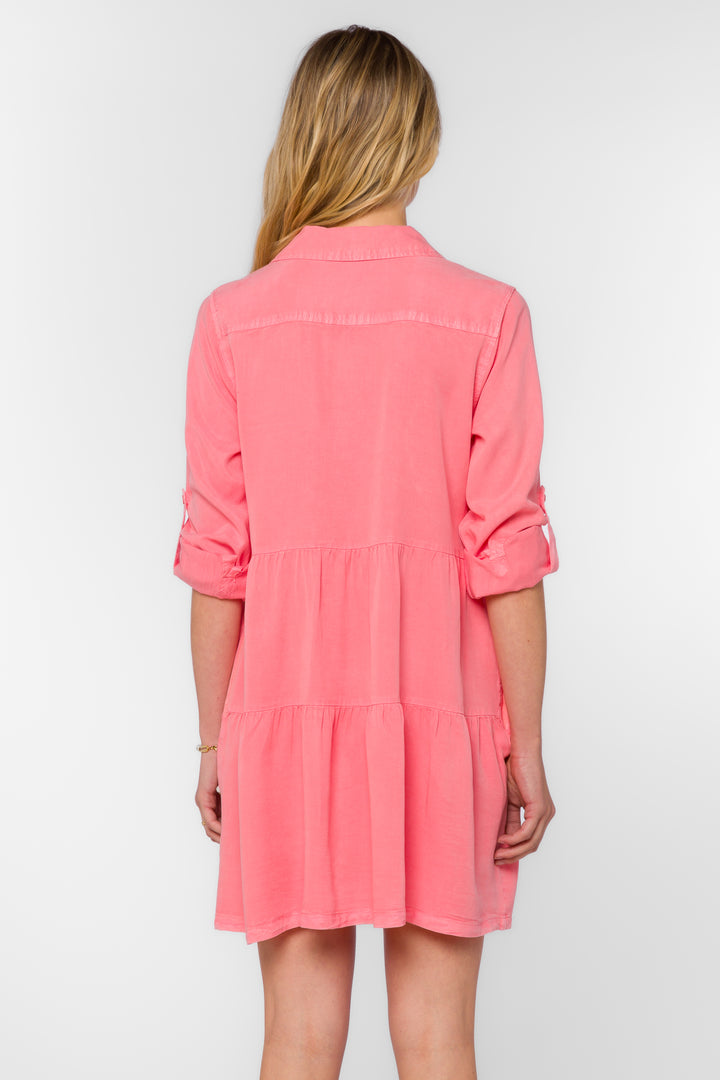 Bree Strawberry Ice Dress - Dresses - Velvet Heart Clothing