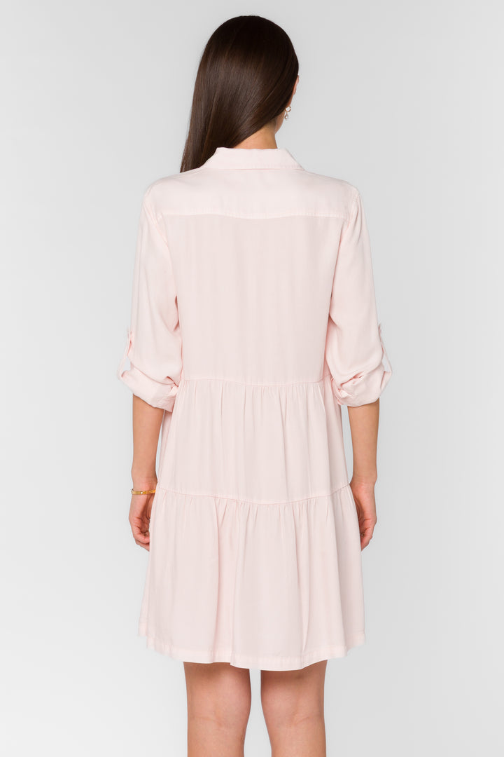 Bree Pink Mist Dress - Dresses - Velvet Heart Clothing