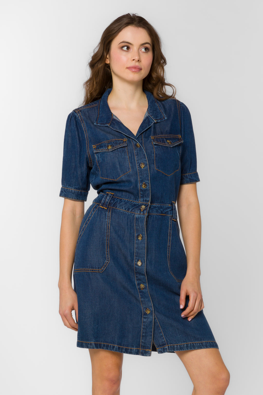 Cassius Danica Blue Dress