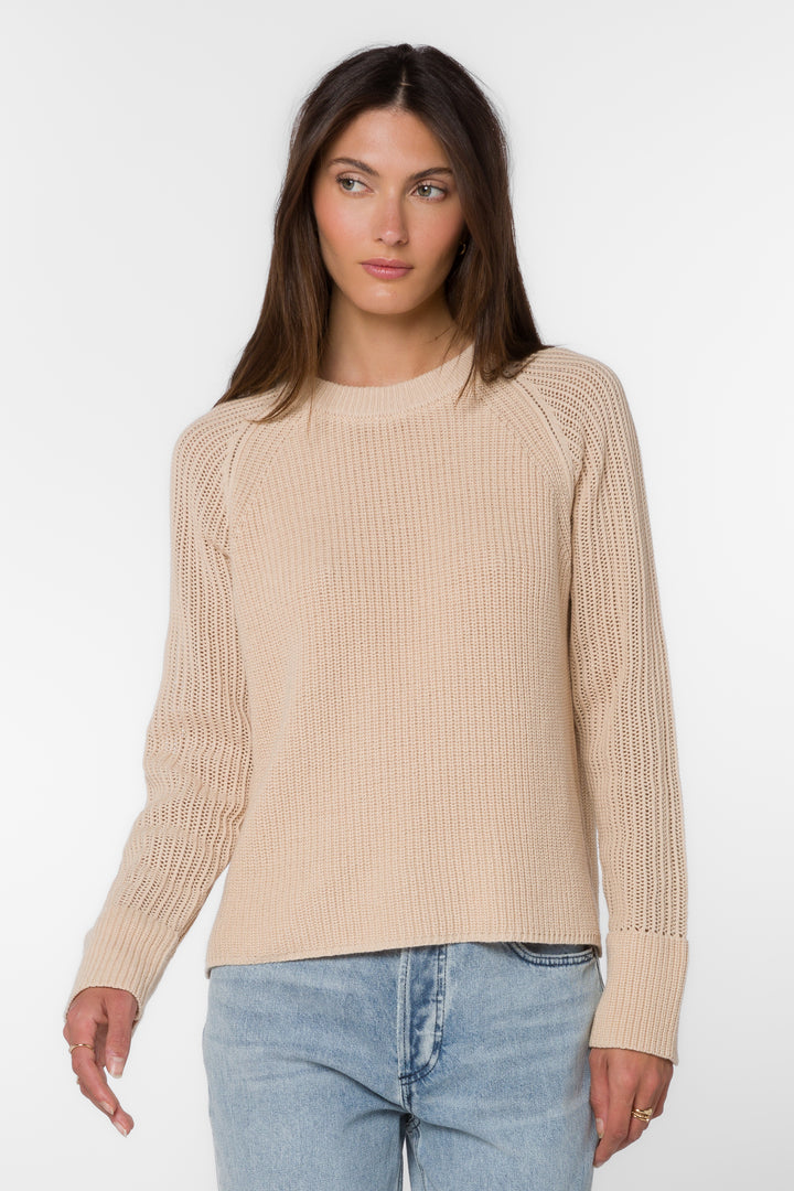 Craig Quinoa Sweater - Sweaters - Velvet Heart Clothing