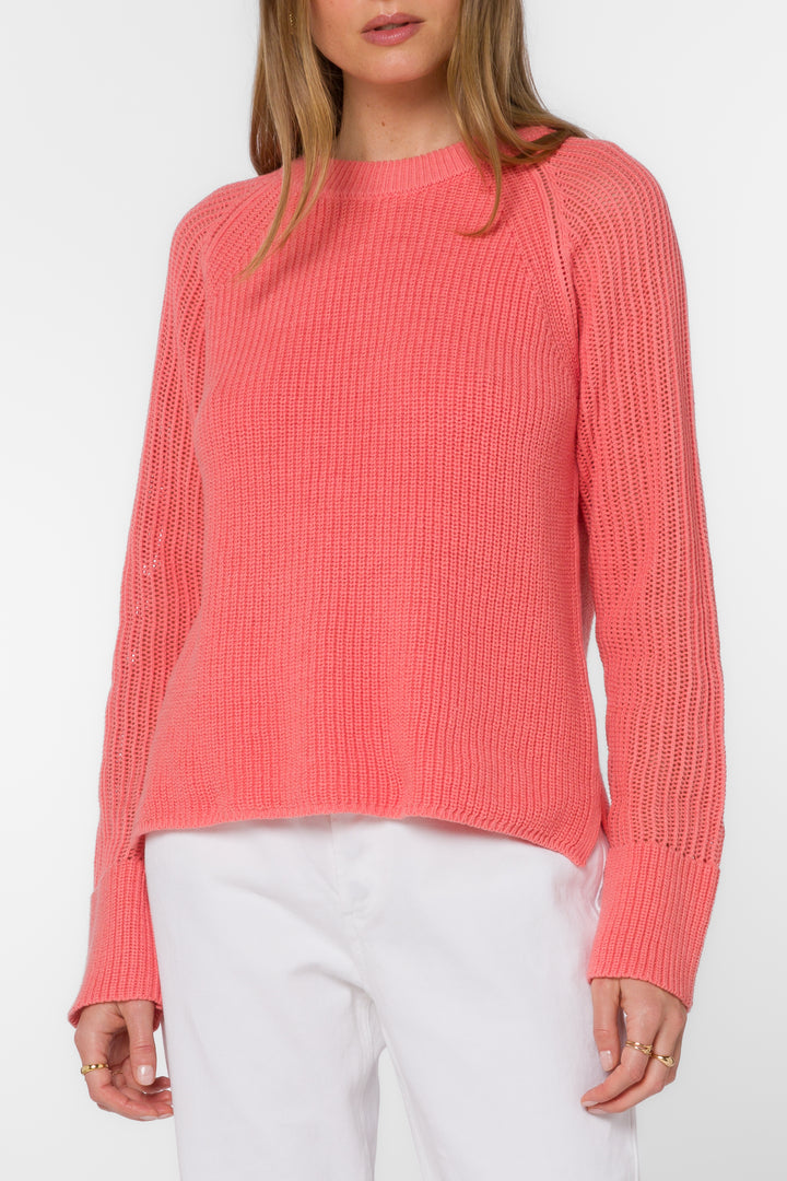 Craig Coral Sweater - Sweaters - Velvet Heart Clothing