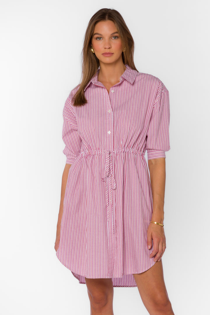 Jenneva Pink Stripe Dress - Dresses - Velvet Heart Clothing