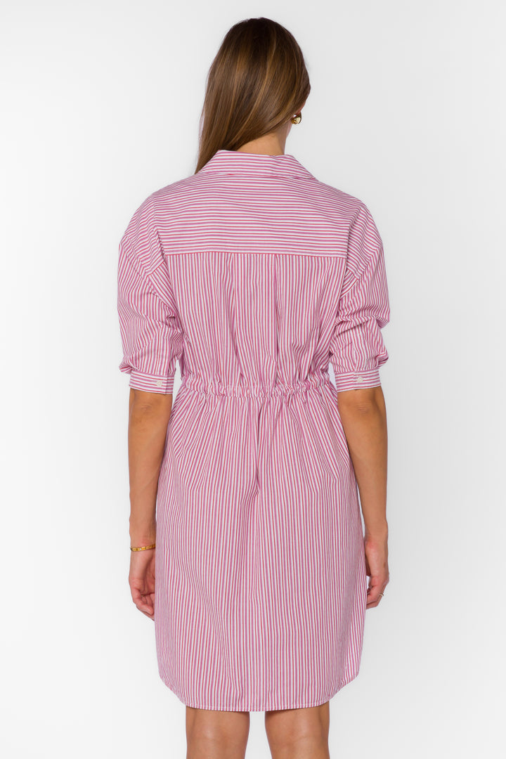 Jenneva Pink Stripe Dress - Dresses - Velvet Heart Clothing
