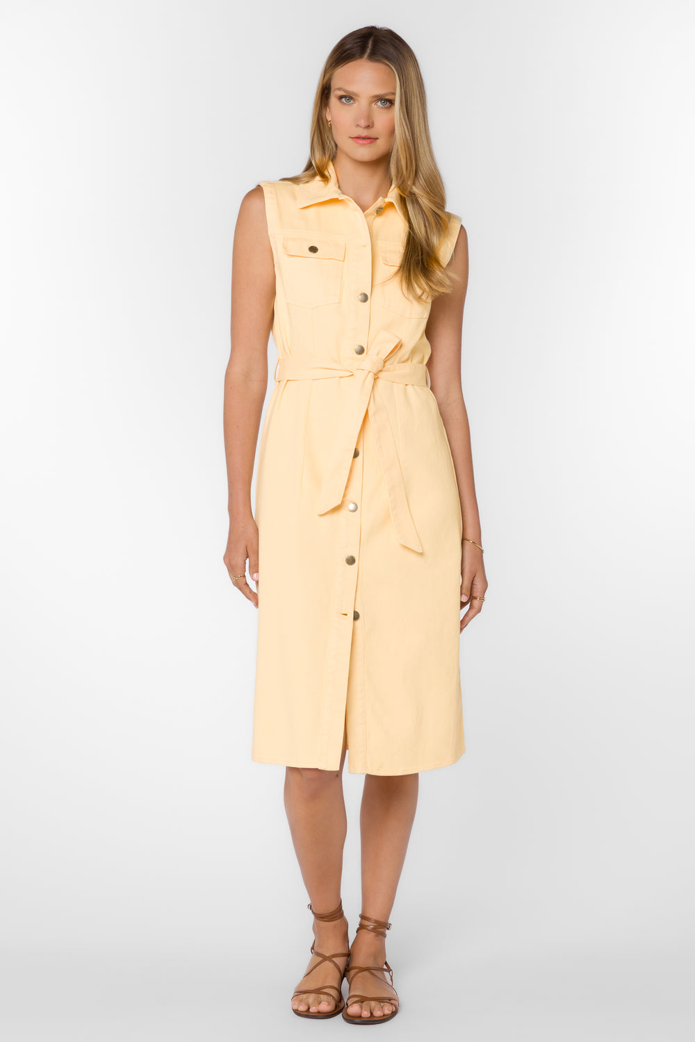 Karsyn Chamomile Dress - Dresses - Velvet Heart Clothing