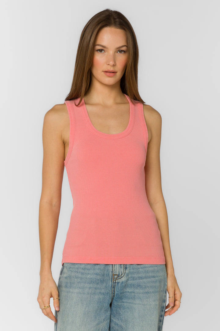 Larisa Strawberry Ice Tank - Tops - Velvet Heart Clothing