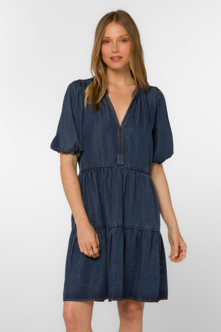 Marscina Danica Dress - Dresses - Velvet Heart Clothing