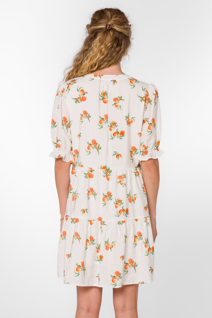 Marscina Peach Fields Dress - Dresses - Velvet Heart Clothing